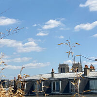 property picture