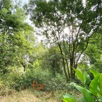 Image du bien en visite référence 56088