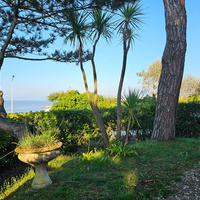 Image du bien en visite référence 57889