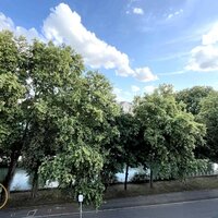 Image du bien en visite référence 70594