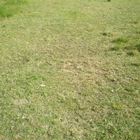 Image du bien en visite référence 81588